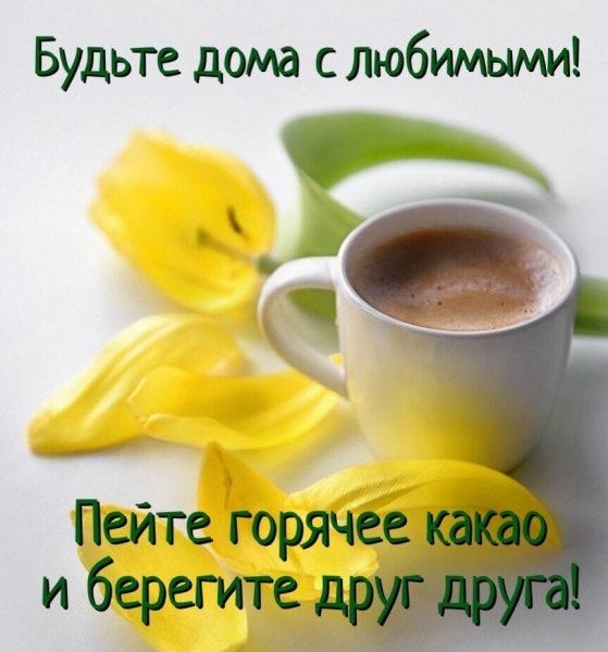 lDnyImNVKS4