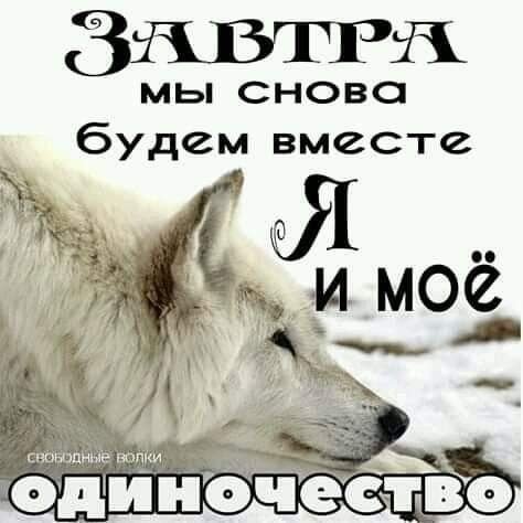 9b15f161dd0b1c4817b729da1728b3fc