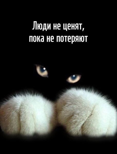 IMG-20251124-WA0023