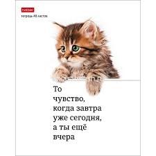 Images (6)