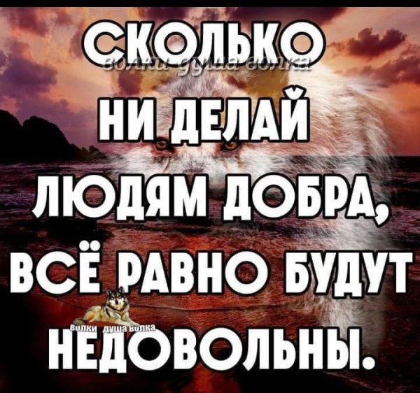 Fe40213bbe72950ecb10653c5dec0c43