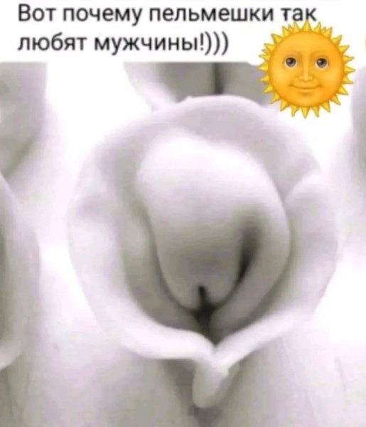 file_103276024