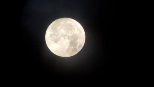 file_66135449