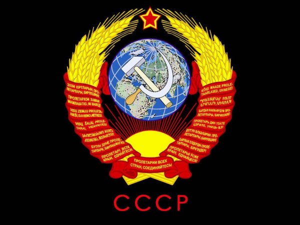 позывные Маяка зарядка начинается