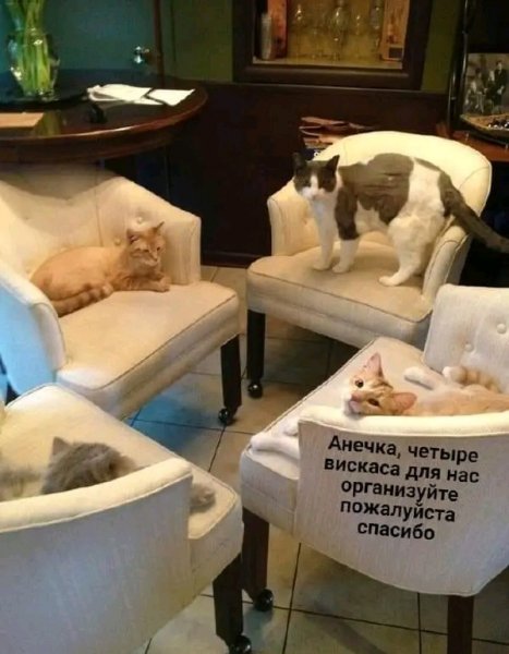 IMG 20260221 121250