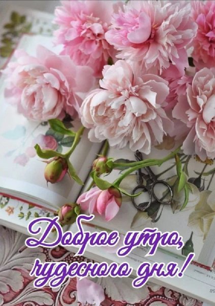Доброе утро! Чудесного дня!