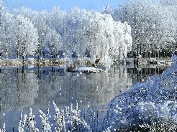 ZIMA