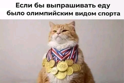 file_103242000