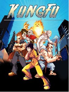 kung fu put bojca