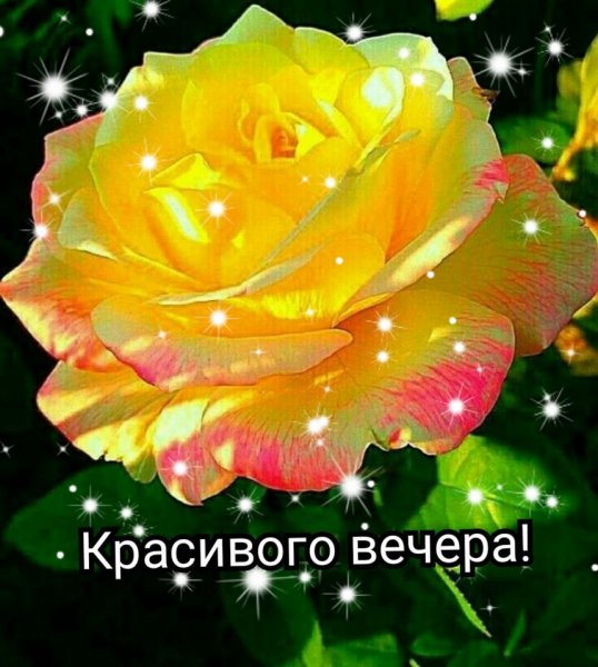 9iVywhXejLw