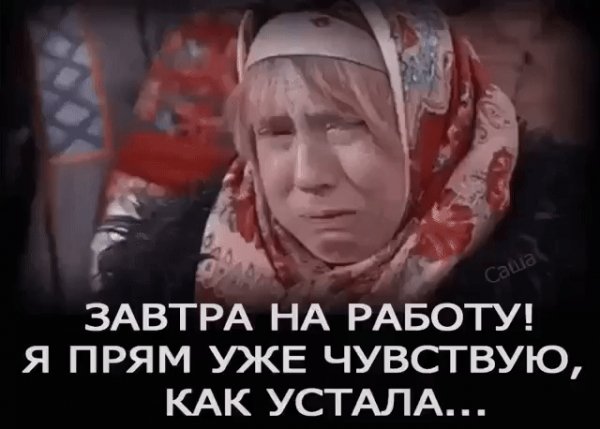IMG 20220815 055529