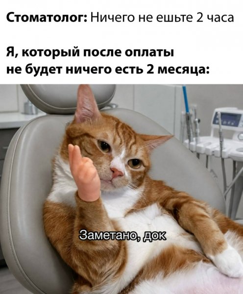 file_103234469