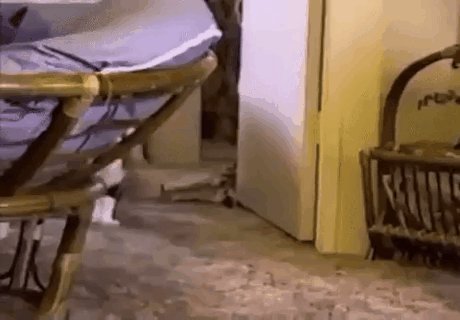 Котэ