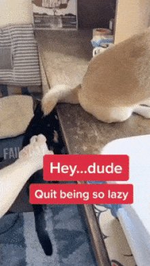 gifs 23