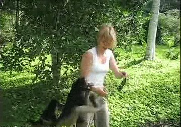 gifs 07