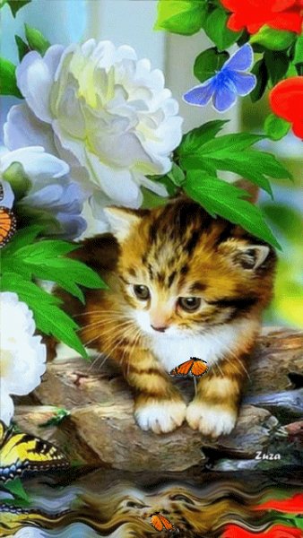 file_51128484