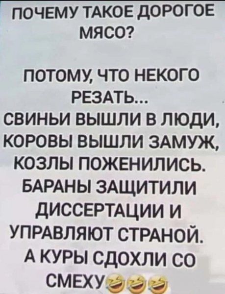 IMG 20251010 212512