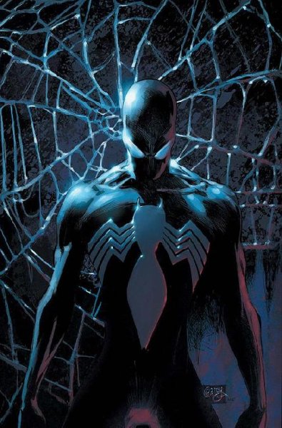 The Amazing Spider Man 2