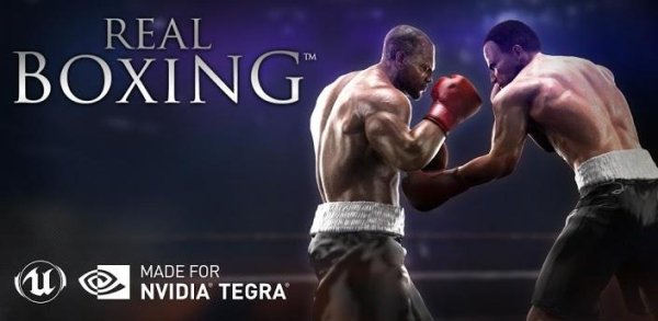 Real Boxing (обновлено до 1.01)