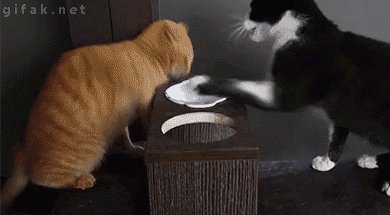 https vk com gif fak (1)