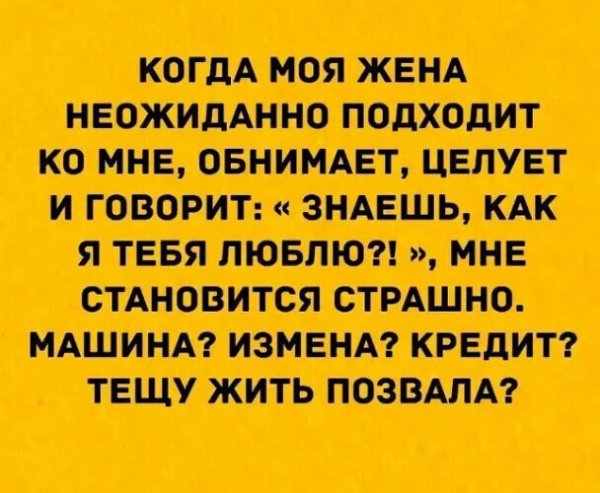 file_95356505