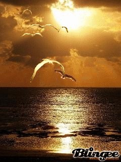file_60792915