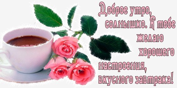oie