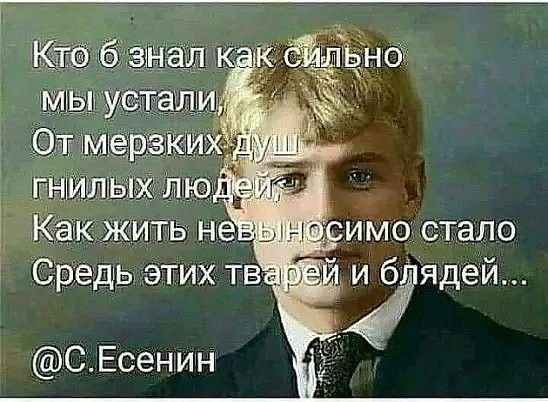 C14e0d82-7299-4653-aecb-7546d1d288dc