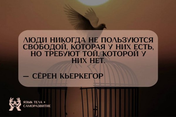 Photo 3372@15-03-2026 14-14-21