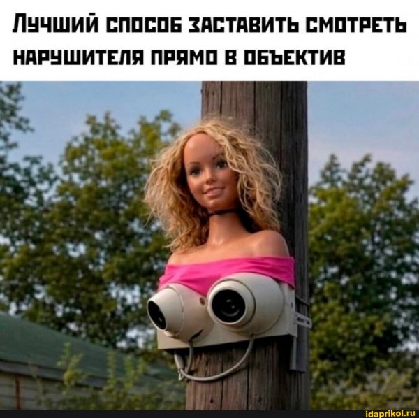Eb1fa942d820d3950f0366a4acef517a75bc9276f66edf65 1