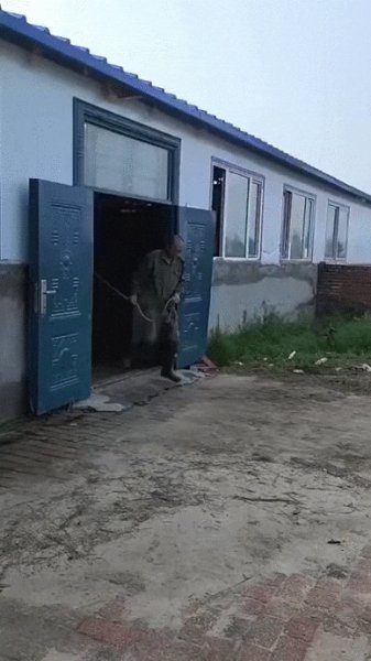 Брабансон