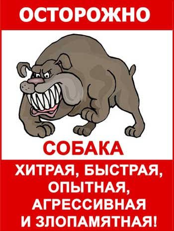 Images (9)