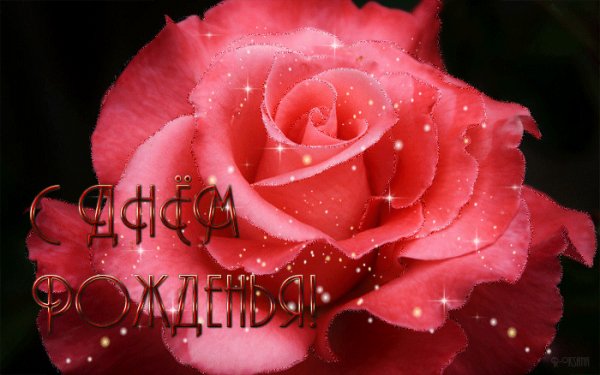 С Днём Рождения!