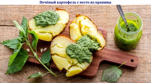 Печёный картофель с песто из крапивы