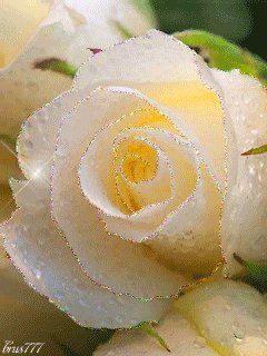 7c88961e3960d35a503cb3f47be67878