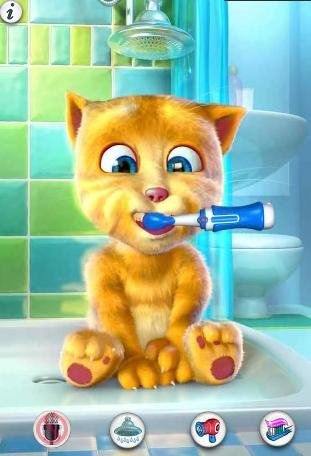 my cat