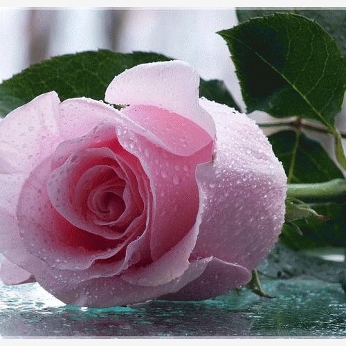 31faf9f66bc838a52296d1ba68437b21 (1)