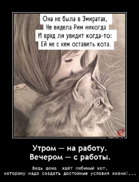 Ей не с кем оставить кота