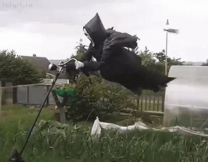 gif 1527796372