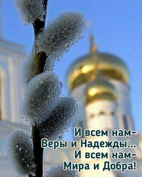IMG 20230409 093359