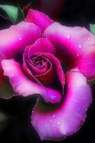 file_48989704