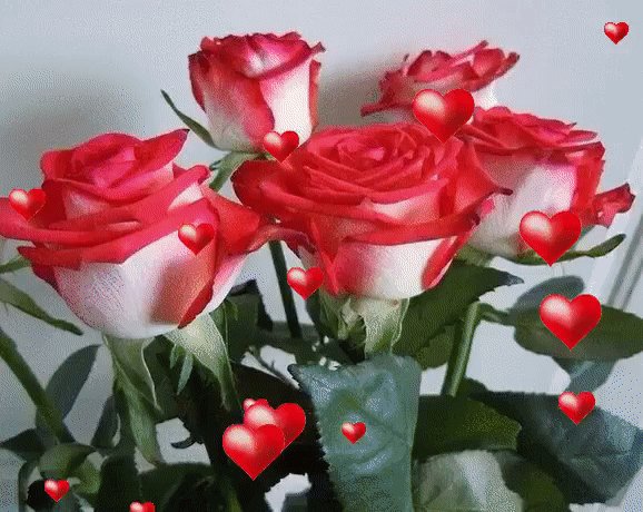 IMG 20160102 105907 0