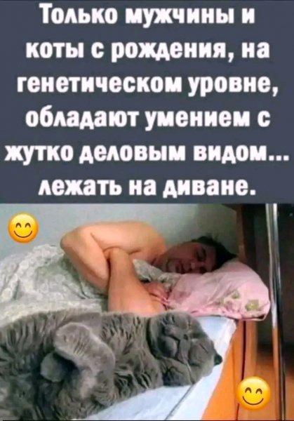 file_103267806