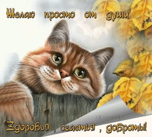 IMG 20190909 155228