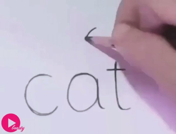 gif 1484504895