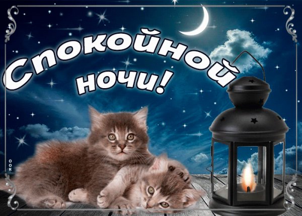 Спокойной Ночи