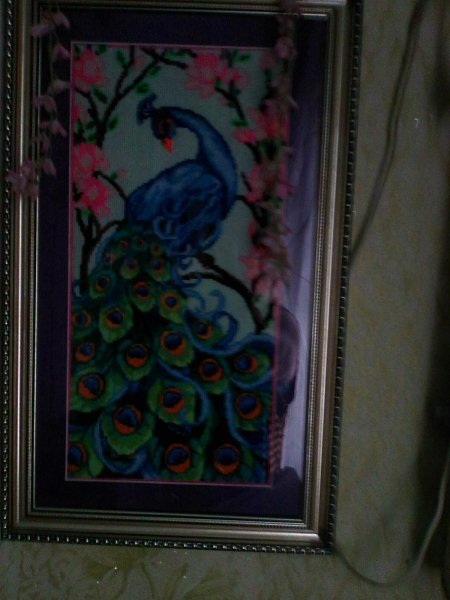 Photo0441