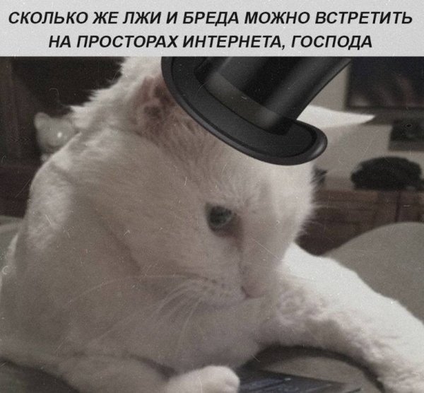 IMG 20260522 022550 267