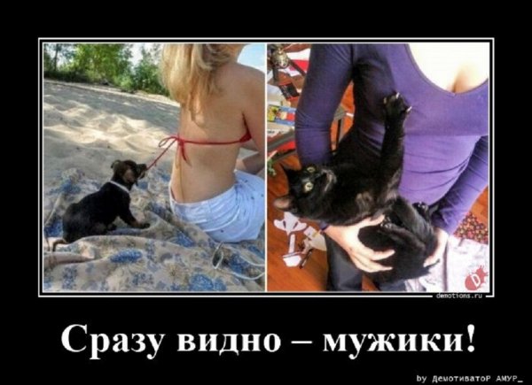 Сразу видно мужики