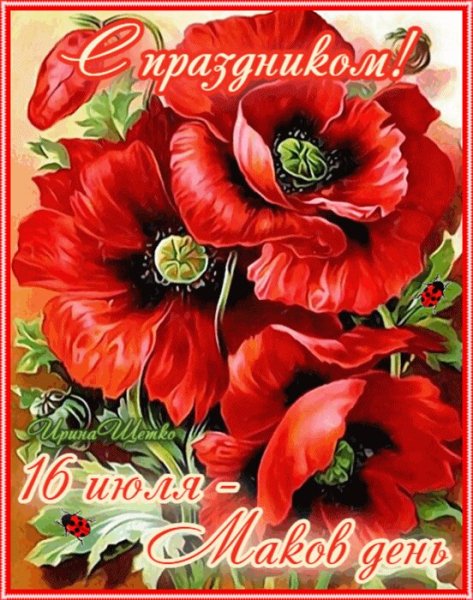Открытка маков день